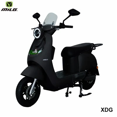 Road Electric Scooters 60V20Ah Timbal - Baterai Asam